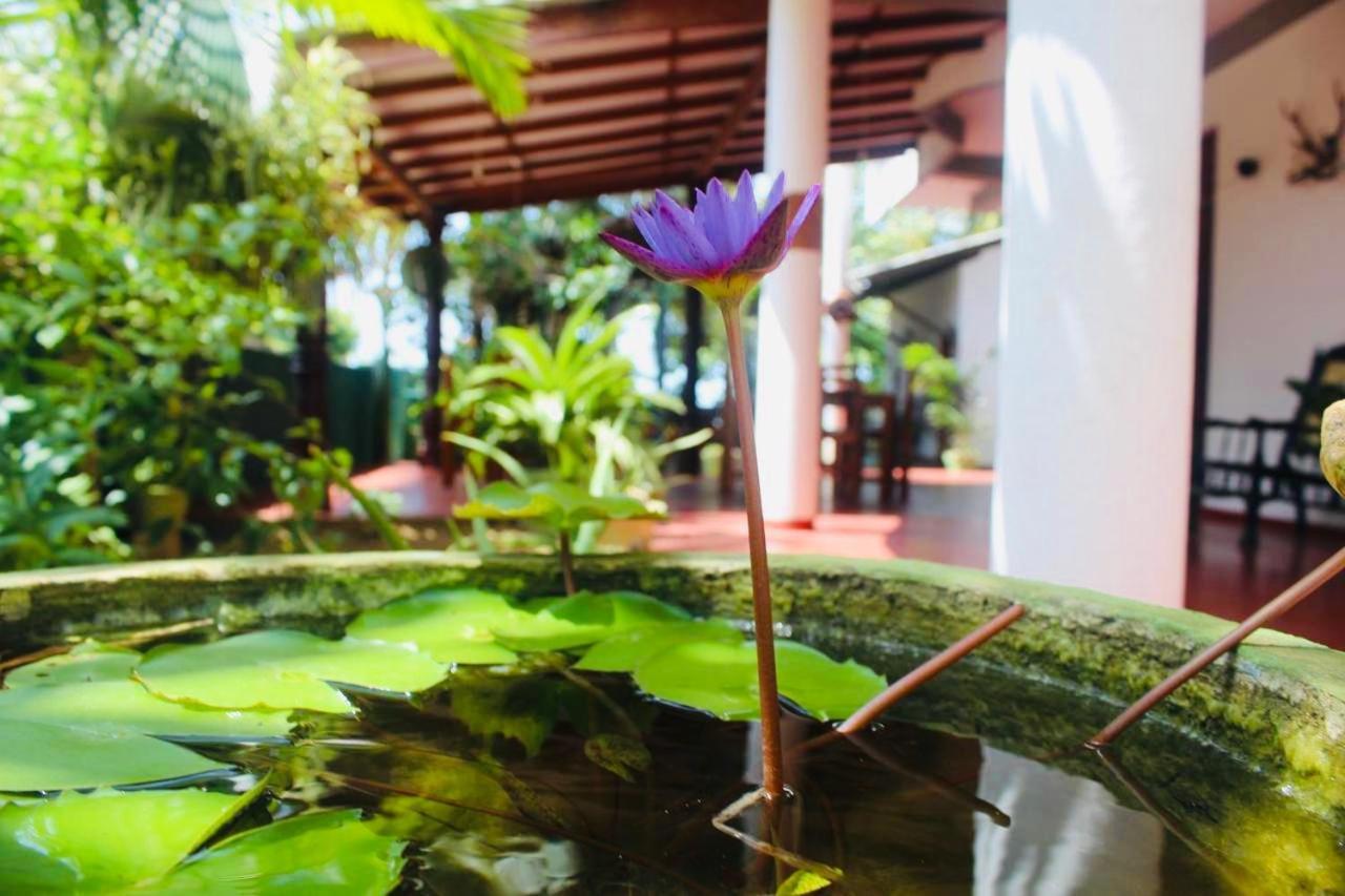 Sunrise Guest House & Restaurant Tangalle Exterior photo