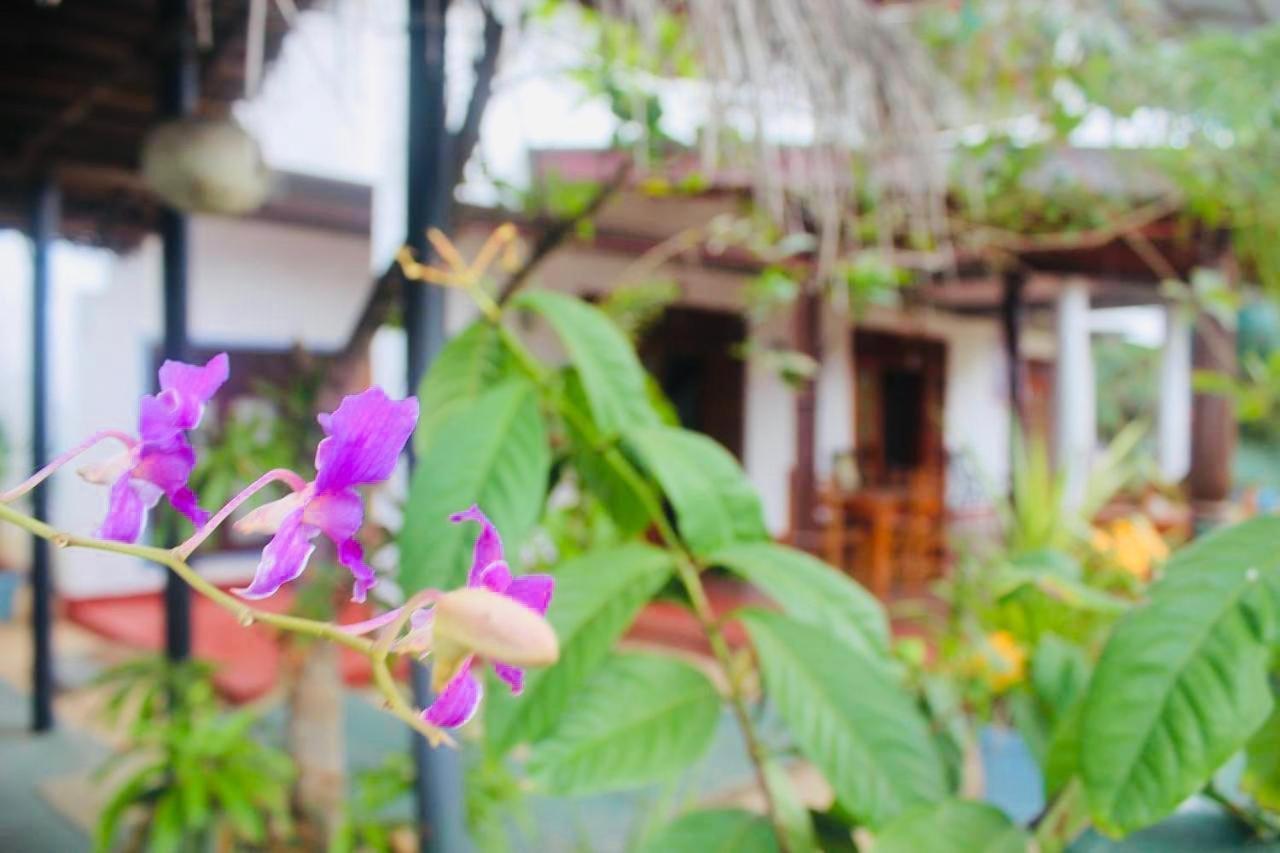 Sunrise Guest House & Restaurant Tangalle Exterior photo